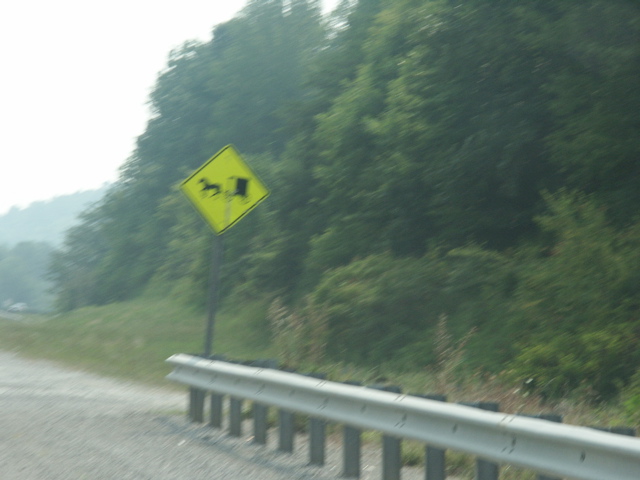 PICT0041