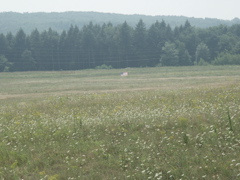 PICT0350