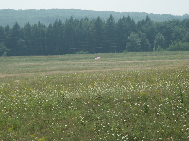 PICT0350